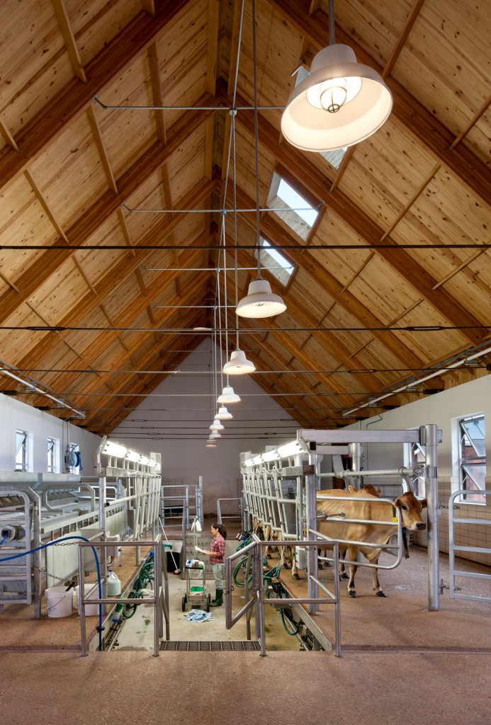 renovation-interieure-de-ferme24