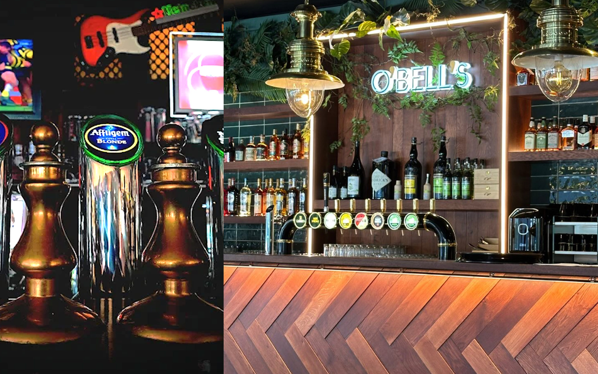 BAR PLAN DE CAMPAGNE OBELLS O